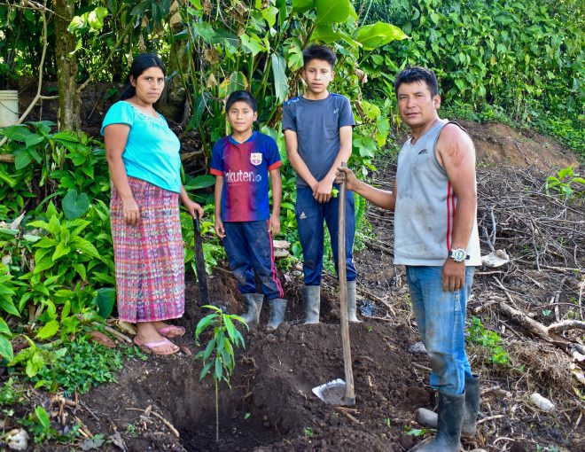 A Maya Ixil family of four plants a fruit tree seedling on their farm together.