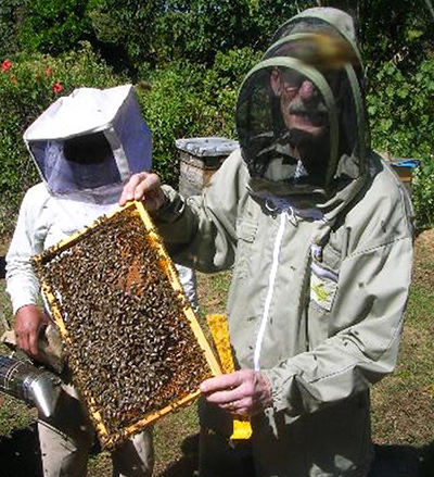 Bill inspecting beehive in Mexico