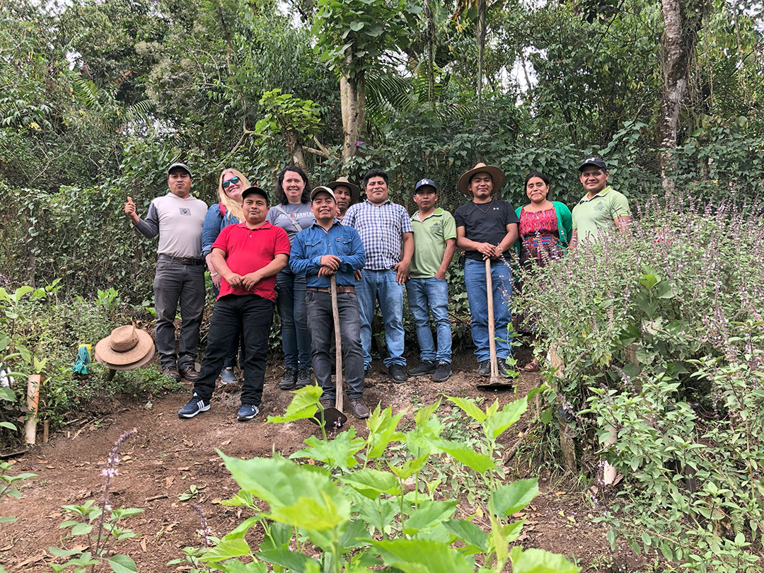 Food 4 Farmers at Maya Ixil Demo Plot 2023