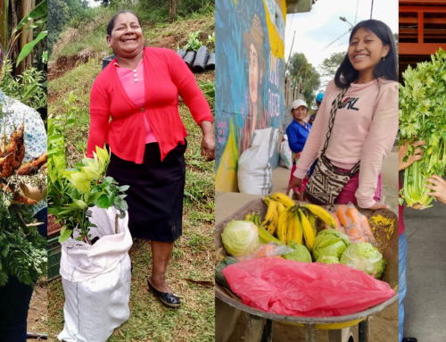 Voices of Change: Women’s Evolving Roles in Coffee-Farming Communities