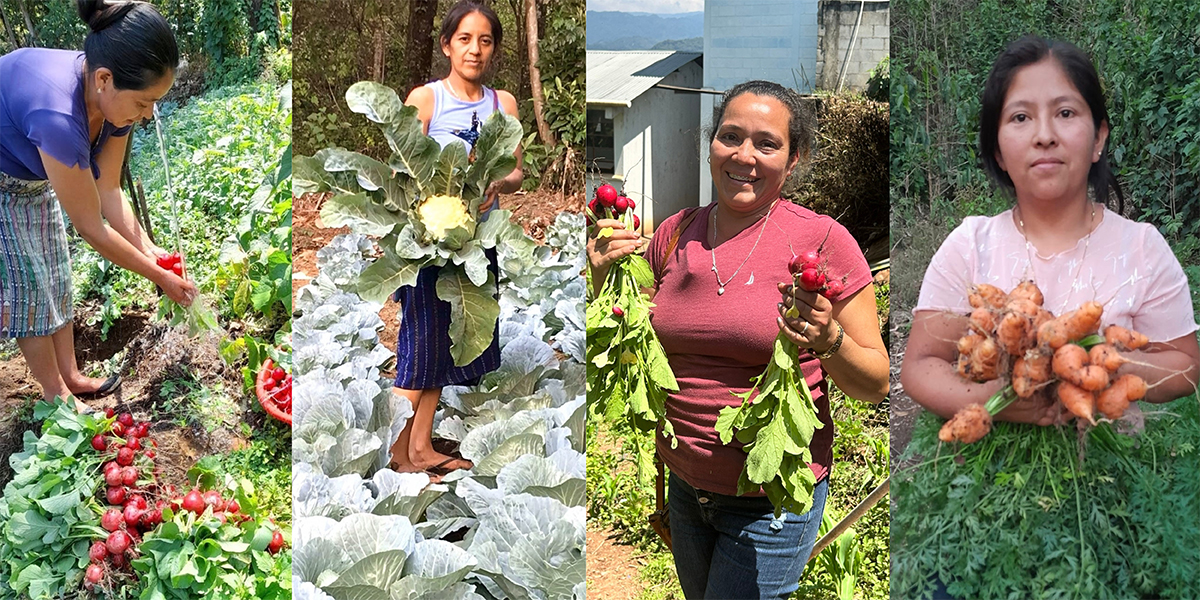 Laura Peterson blog banner: four women coffee farmers and their home grown food